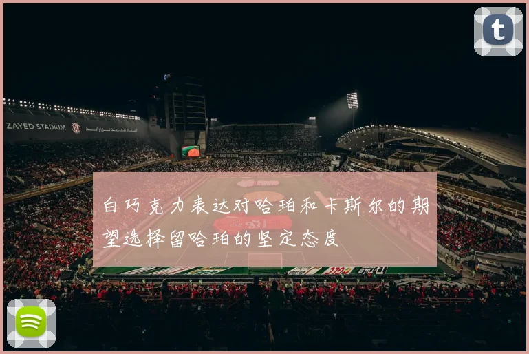 白巧克力表达对哈珀和卡斯尔的期望选择留哈珀的坚定态度
