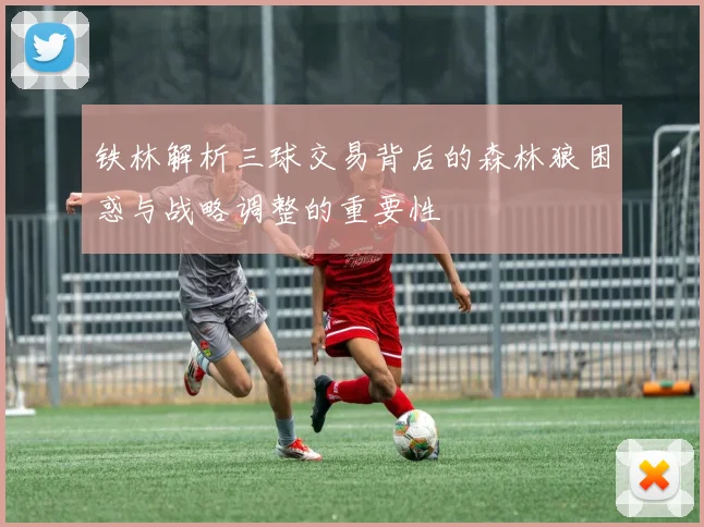铁林解析三球交易背后的森林狼困惑与战略调整的重要性